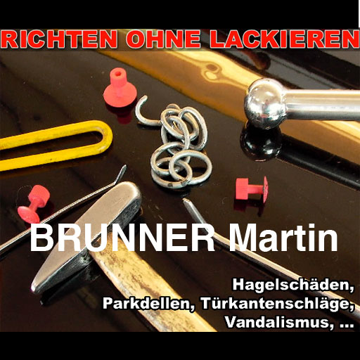 Logo von Dellenteam-Mitglied Martin Brunner, große Datei