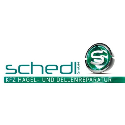 Logo Dellenteam Andreas Schedl Logo von Dellenteam-Mitglied Andreas Schedl, große Datei